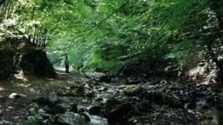 Valea si canionul Sighistelului din Muntii Bihor