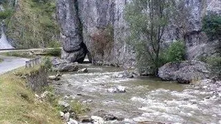 La drum prin cheile raului Dambovita