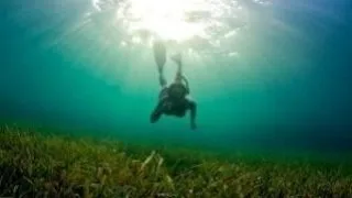 Scuba diving versus Free diving
