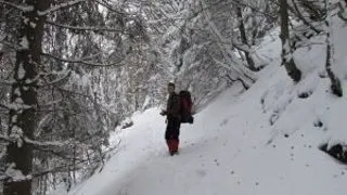 Avalansa