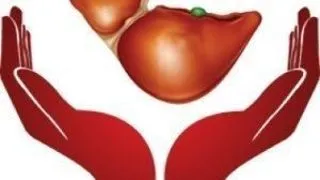 SPUNE DA! Sustine donarea de organe!