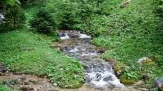 Canionul Sapte Scari - Muntii Piatra Mare