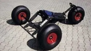 Zmeul si buggy-ul